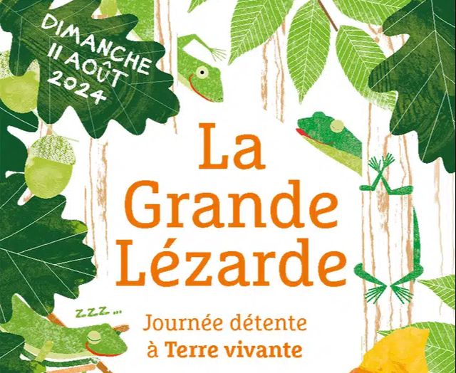 La grande lézarde