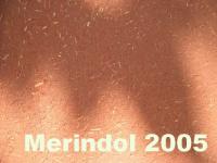 Merindol 2005