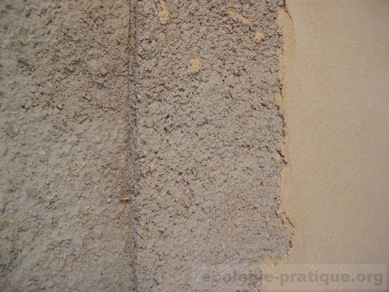 Bâtir écologique 2006