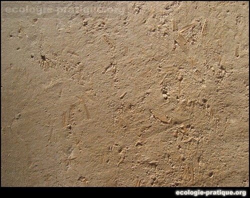 Merindol 2005