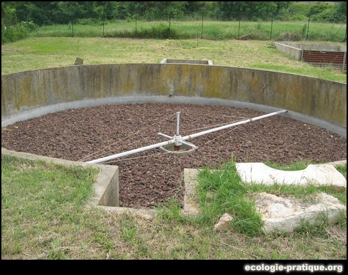 Epuration roseaux
