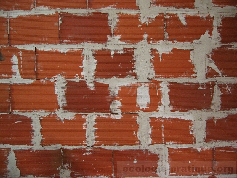 Bâtir écologique 2006