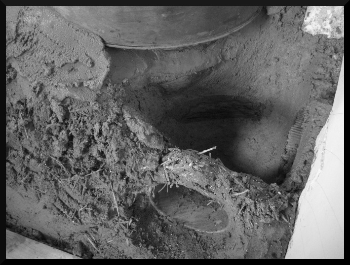Rocket stove