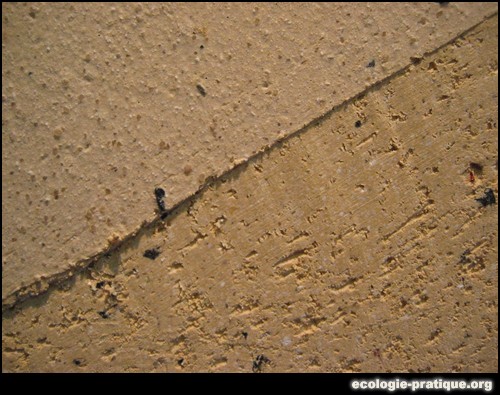 Bâtir écologique 2005