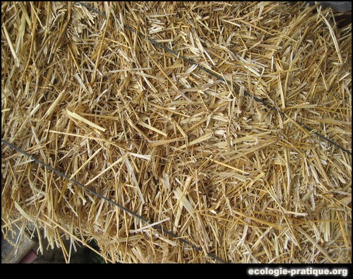 Mur en paille