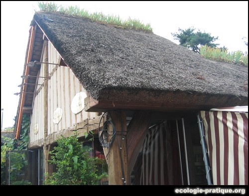 Toiture chaume