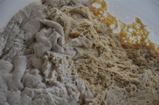 Levain = patton 48H