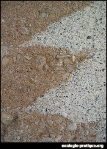 Terre