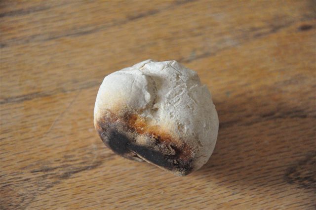 Fin de cuisson mini pain