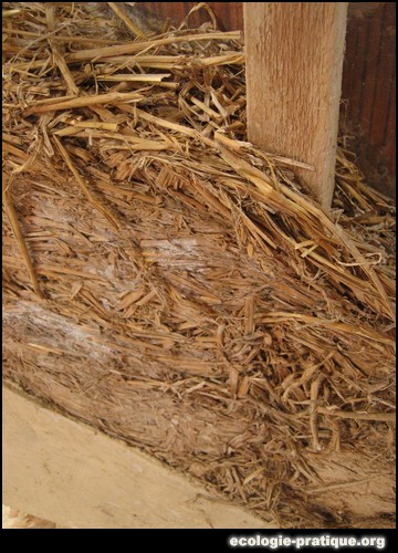 Bâtir écologique 2005