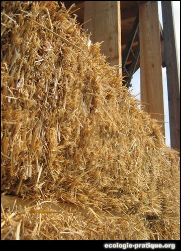 Mur en paille