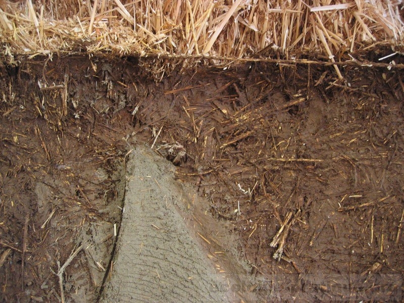 Bâtir écologique 2006