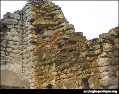 Mur en pierre