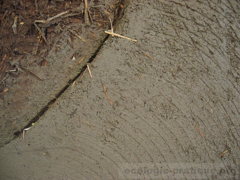 Bâtir écologique 2006