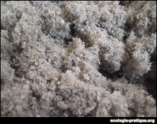 Cellulose