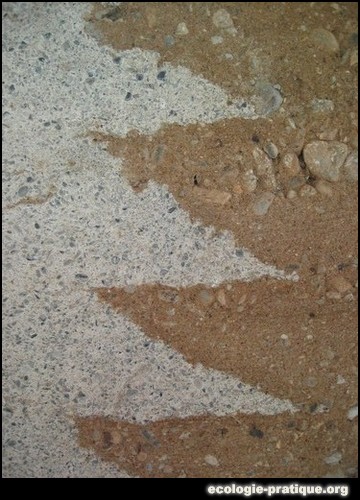 Terre