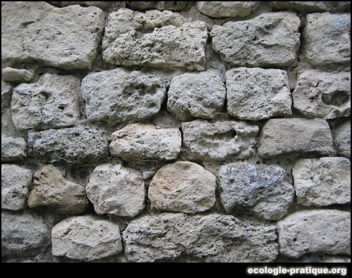 Mur en pierre