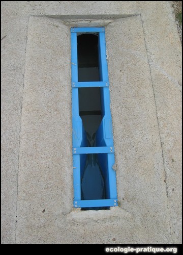 Epuration roseaux
