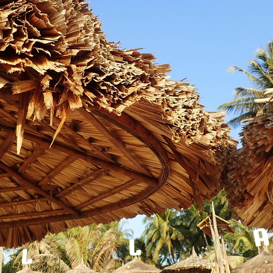 Mécanisme parasol bois et couverture végétale